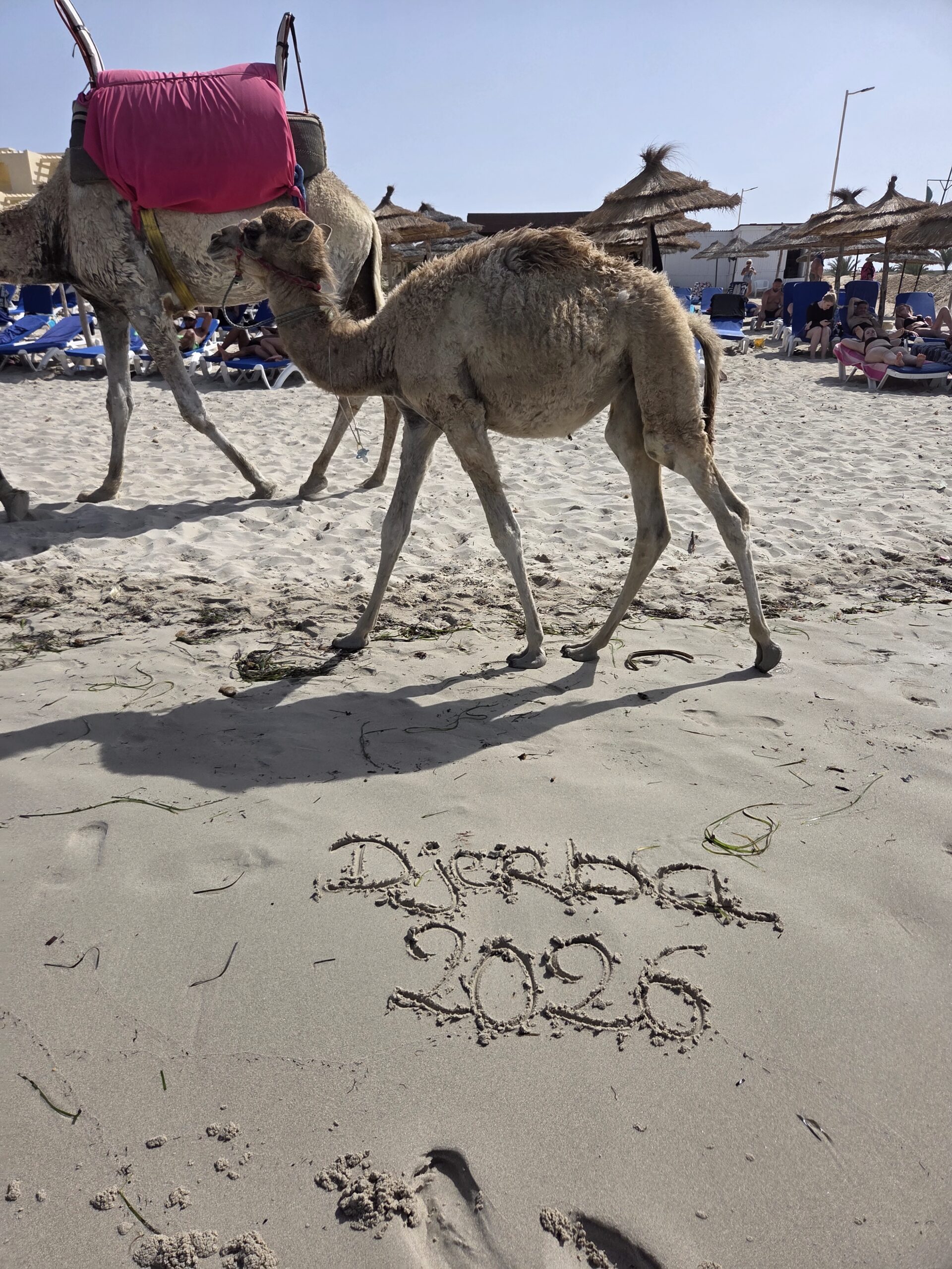 Tunisie Djerba